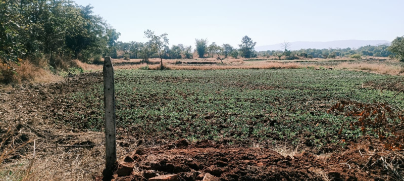  2 Acre Agricultural/Farm Land for Sale in Mangaon, Raigad