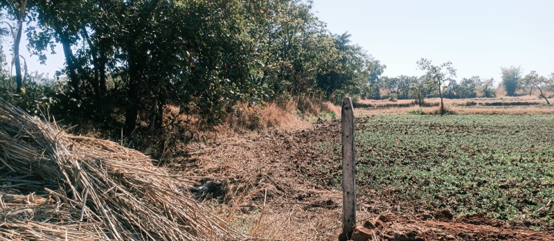 2 Acre Agricultural/Farm Land for Sale in Mangaon, Raigad