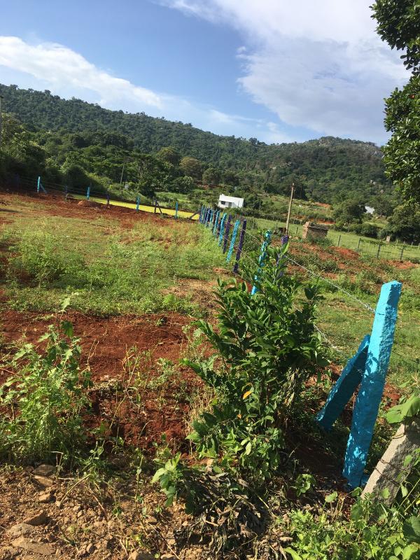  Commercial Land 19 Cent for Sale in Yelagiri, Vellore