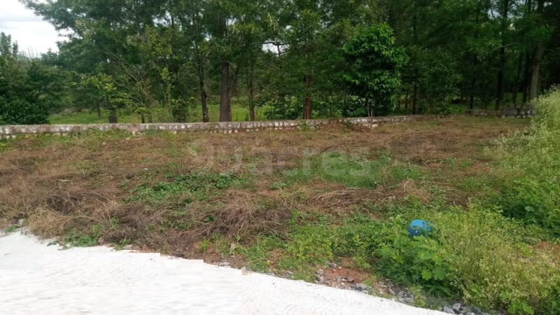  Residential Plot 10 Cent for Sale in Yelagiri, Vellore