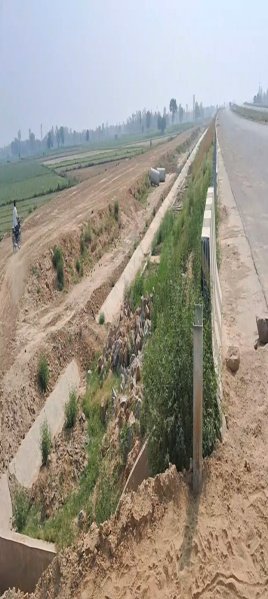  Agricultural Land 134 Bigha for Sale in Garhmukteshwar, Hapur