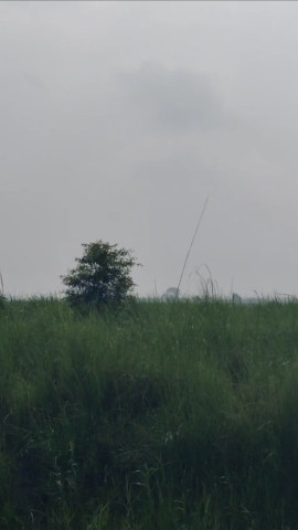  Agricultural Land 129 Bigha for Sale in Garhmukteshwar, Hapur