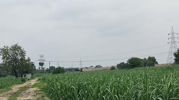  Agricultural Land 50 Bigha for Sale in Garhmukteshwar, Hapur