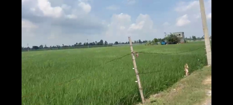  120 Bigha Agricultural/Farm Land for Sale in Garhmukteshwar, Hapur