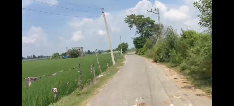  120 Bigha Agricultural/Farm Land for Sale in Garhmukteshwar, Hapur