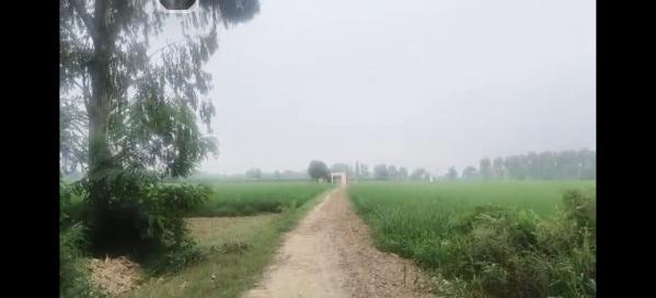  Commercial Land 66 Bigha for Sale in Siana, Bulandshahr
