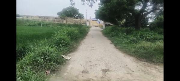  Agricultural Land 50 Bigha for Sale in Siana, Bulandshahr