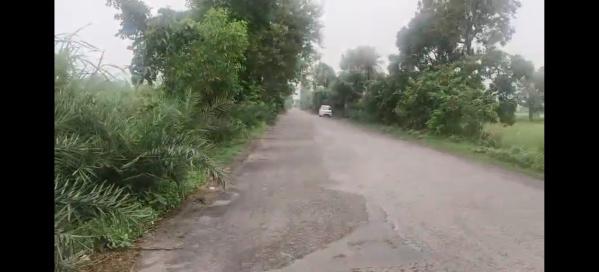  Agricultural Land 11 Bigha for Sale in Garhmukteshwar, Hapur