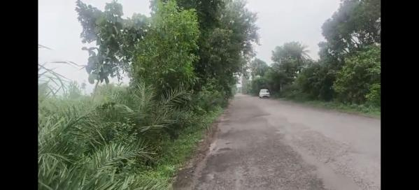  Agricultural Land 58 Bigha for Sale in Hasanpur, Amroha
