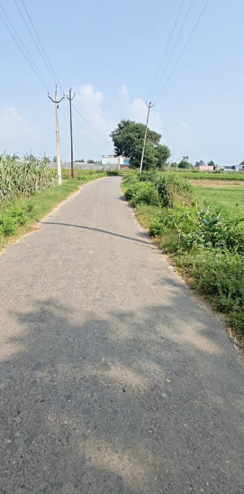  50 Bigha Agricultural/Farm Land for Sale in Pilakhuwa Hapur