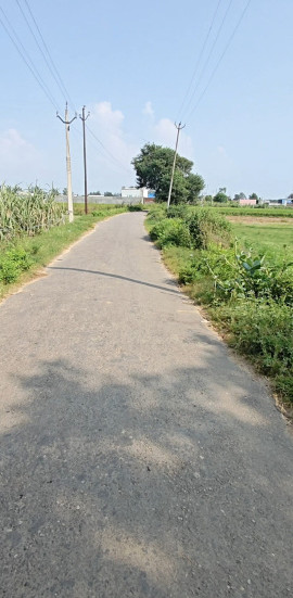  50 Bigha Agricultural/Farm Land for Sale in Simbhaoli, Hapur