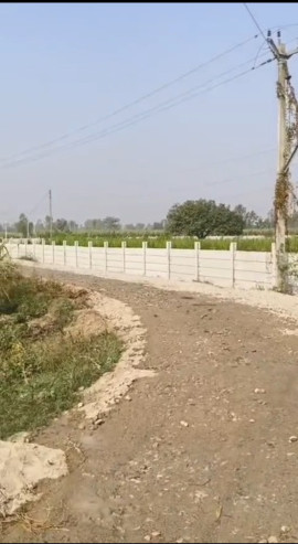  28 Bigha Agricultural/Farm Land for Sale in Dhanaura Road, Gajraula