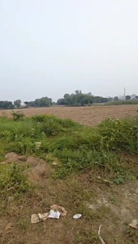  50 Bigha Agricultural/Farm Land for Sale in Hastinapur, Meerut