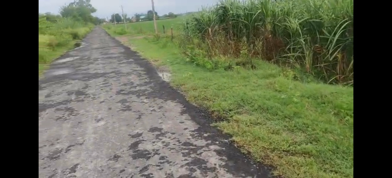  17 Bigha Agricultural/Farm Land for Sale in Garhmukteshwar, Hapur