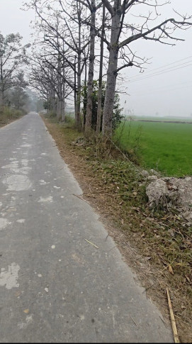  130 Bigha Agricultural/Farm Land for Sale in Mawana, Meerut