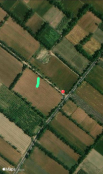  Agricultural Land for Sale in Mawana, Meerut