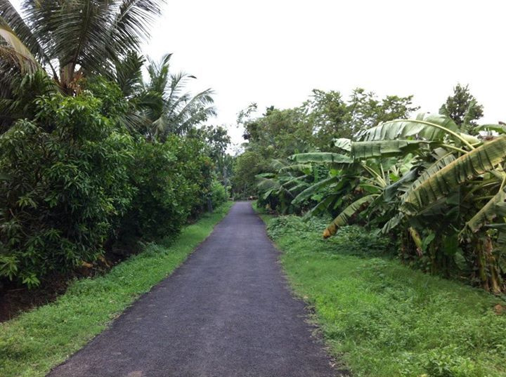  120 Bigha Agricultural/Farm Land for Sale in Garhmukteshwar, Hapur