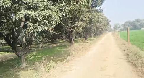  90 Bigha Agricultural/Farm Land for Sale in Garhmukteshwar, Hapur