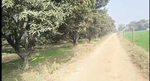  45 Bigha Agricultural/Farm Land for Sale in Siana, Bulandshahr