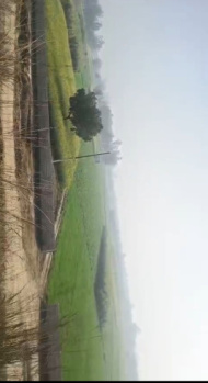  Residential Plot for Sale in Garhmukteshwar, Hapur