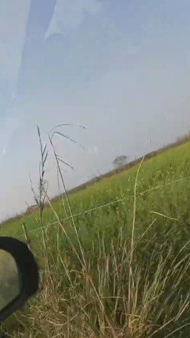  12 Acre Agricultural/Farm Land for Sale in Garhmukteshwar, Hapur