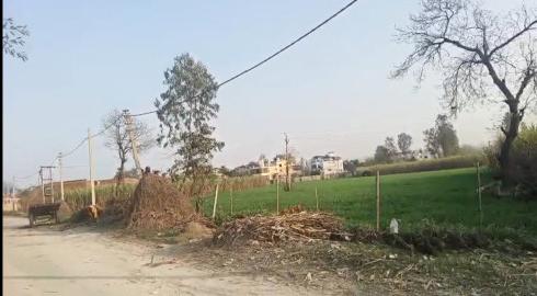  13 Acre Agricultural/Farm Land for Sale in Garhmukteshwar, Hapur