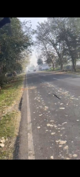  10 Acre Agricultural/Farm Land for Sale in Siana, Bulandshahr