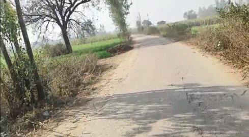  13 Acre Agricultural/Farm Land for Sale in Mawana, Meerut