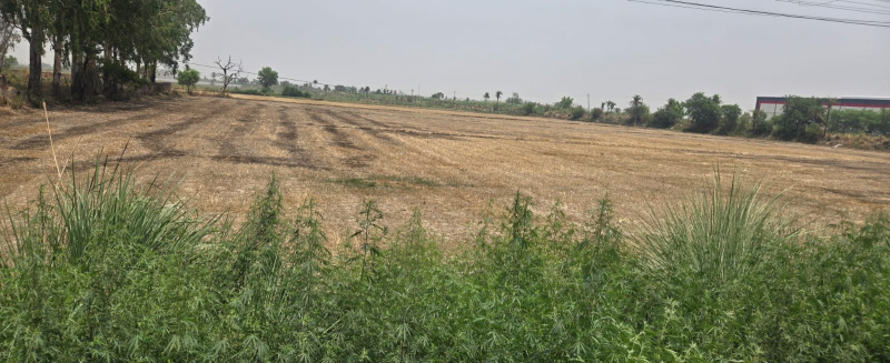  50 Bigha Agricultural/Farm Land for Sale in Mawana, Meerut