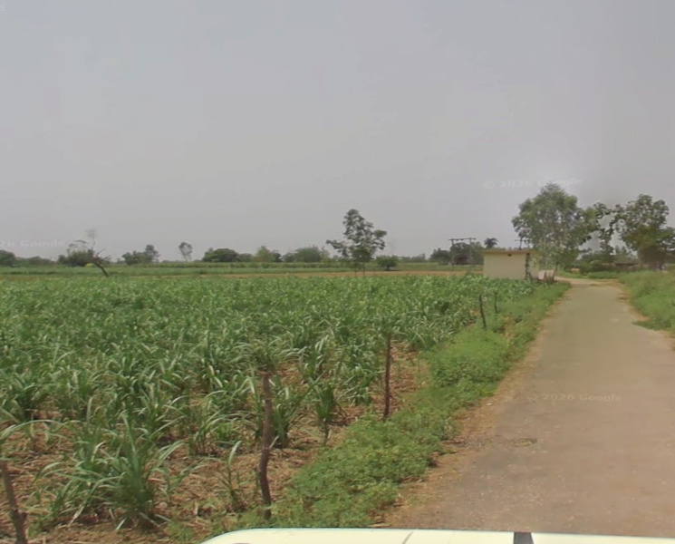  20 Acre Agricultural/Farm Land for Sale in Hastinapur, Meerut
