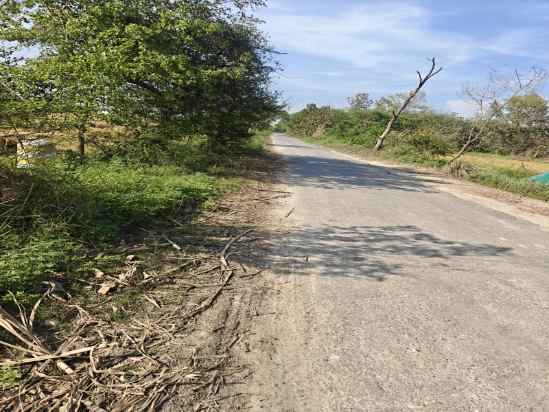  4 Acre Agricultural/Farm Land for Sale in Mawana, Meerut