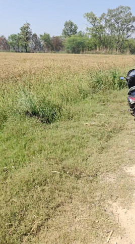  5 Acre Agricultural/Farm Land for Sale in Hastinapur, Meerut