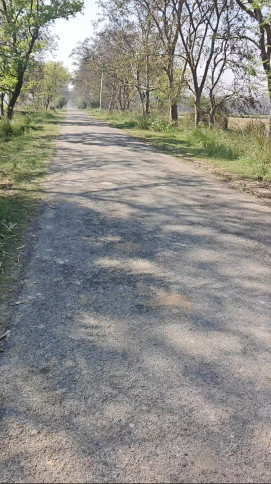  12 Acre Agricultural/Farm Land for Sale in Hastinapur, Meerut