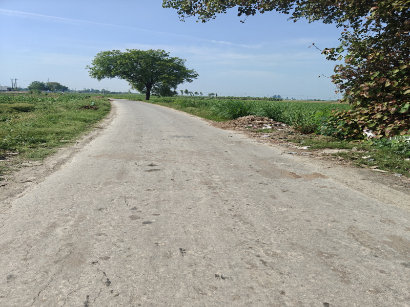  3 Bigha Agricultural/Farm Land for Sale in Garhmukteshwar, Hapur