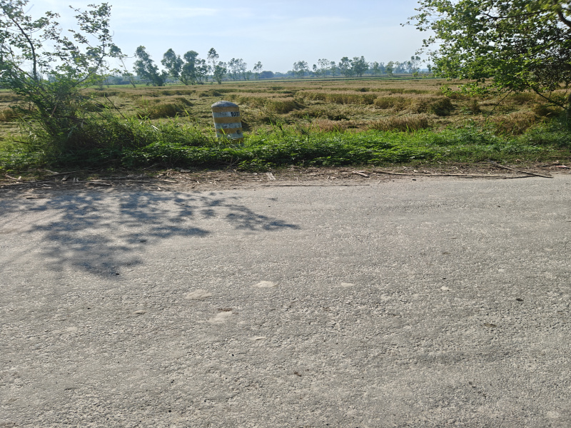  4 Bigha Agricultural/Farm Land for Sale in Garhmukteshwar, Hapur