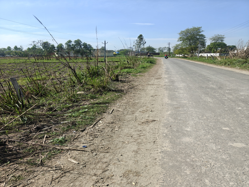  4 Bigha Agricultural/Farm Land for Sale in Garhmukteshwar, Hapur