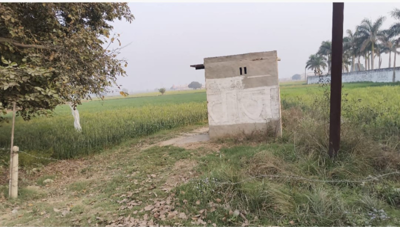  20 Acre Agricultural/Farm Land for Sale in Garhmukteshwar, Hapur
