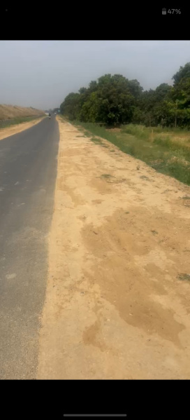  6 Bigha Agricultural/Farm Land for Sale in Garhmukteshwar, Hapur