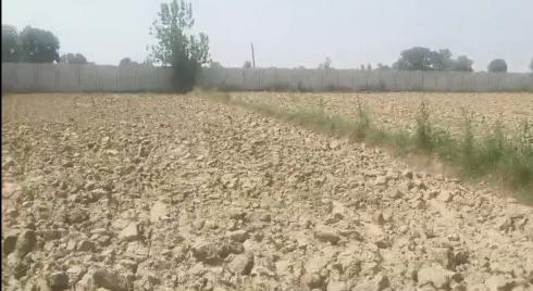  5 Acre Agricultural/Farm Land for Rent in Garhmukteshwar, Hapur