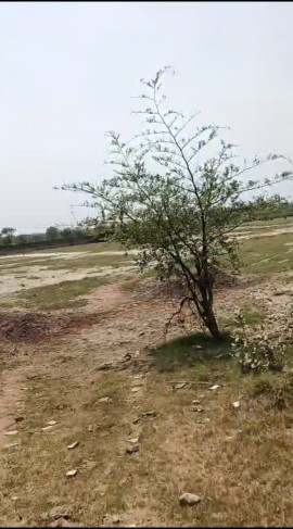  63250 Sq. Meter Industrial Land for Sale in Dhaulana, Hapur