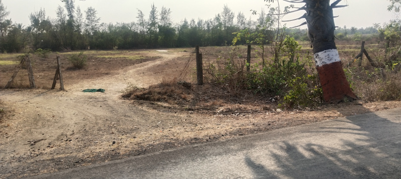  Agricultural Land 2 Acre for Sale in Umbergaon, Valsad