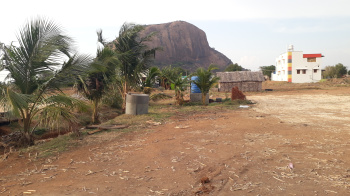  Agricultural Land for Rent in Begambur, Dindigul