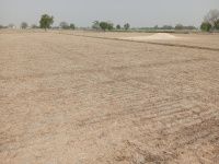 Agricultural Land for Sale in Goverdhan Road, Mathura