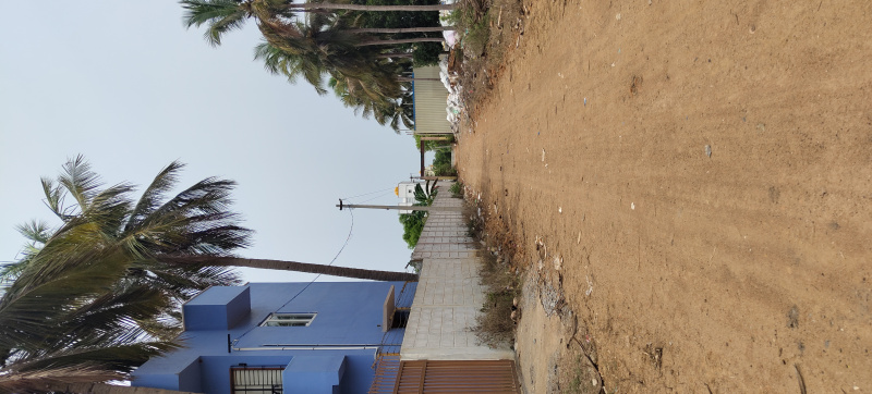 1 BHK Farm House 19200 Sq.ft. for Sale in Kanchipuram, Chennai, 