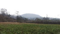  Agricultural Land for Sale in Pen, Raigad