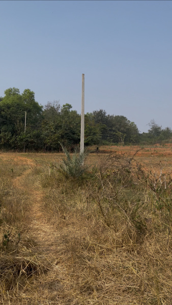  1620 Sq.ft. Residential Plot for Sale in Karapalli, Berhampur