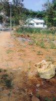  Residential Plot for Sale in Kuravilangad, Kottayam