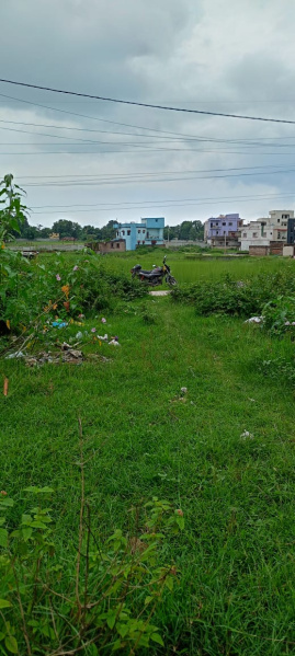  Commercial Land 234 Dismil for Sale in Ormanjhi, Ranchi