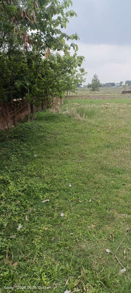  Residential Plot 4 Dismil for Sale in BIT Mesra, Ranchi