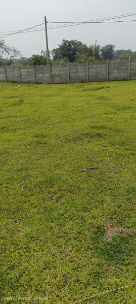  Residential Plot 11 Acre for Sale in Ormanjhi, Ranchi